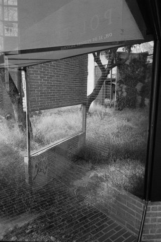 2025 - Analógico B&N