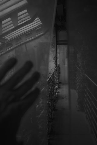 2026 - Estufa de las Palmas